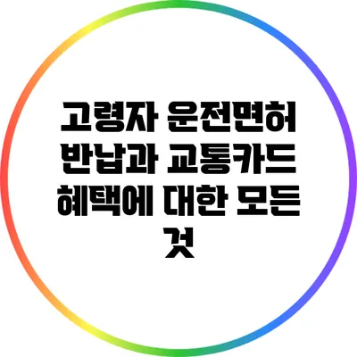 고령자 운전면허 반납과 교통카드 혜택에 대한 모든 것