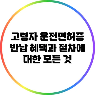 고령자 운전면허증 반납 혜택과 절차에 대한 모든 것