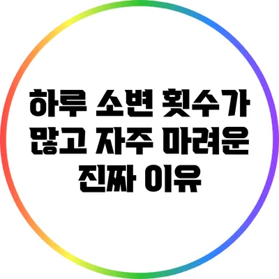 하루 소변 횟수가 많고 자주 마려운 진짜 이유