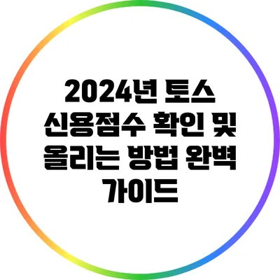 2024년 토스 신용점수 확인 및 올리는 방법 완벽 가이드