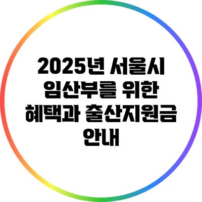 2025년 서울시 임산부를 위한 혜택과 출산지원금 안내