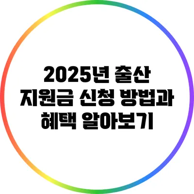 2025년 출산 지원금 신청 방법과 혜택 알아보기