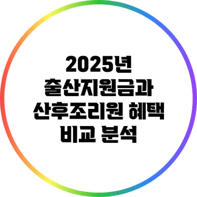 2025년 출산지원금과 산후조리원 혜택 비교 분석