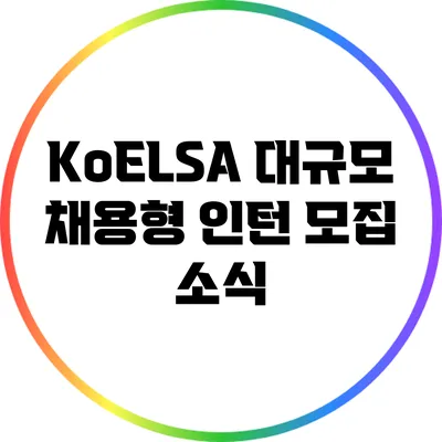 KoELSA 대규모 채용형 인턴 모집 소식