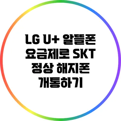 LG U+ 알뜰폰 요금제로 SKT 정상 해지폰 개통하기