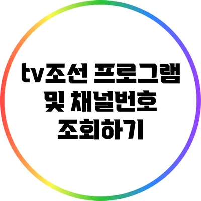 tv조선 프로그램 및 채널번호 조회하기