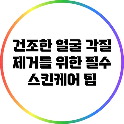 건조한 얼굴 각질 제거를 위한 필수 스킨케어 팁