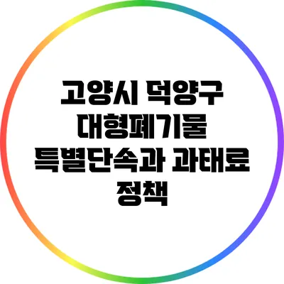 고양시 덕양구 대형폐기물 특별단속과 과태료 정책