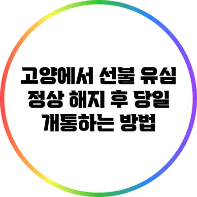고양에서 선불 유심 정상 해지 후 당일 개통하는 방법