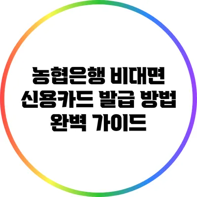 농협은행 비대면 신용카드 발급 방법 완벽 가이드