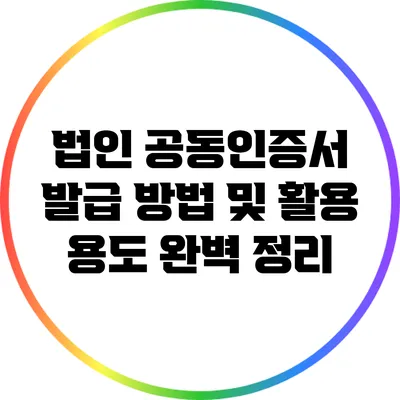 법인 공동인증서 발급 방법 및 활용 용도 완벽 정리