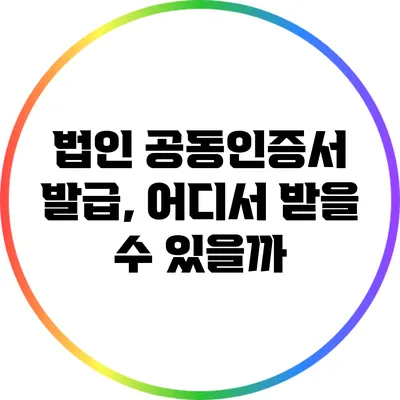 법인 공동인증서 발급, 어디서 받을 수 있을까?
