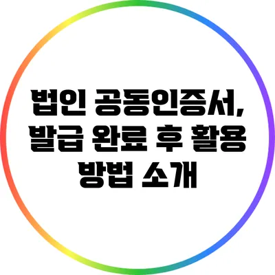 법인 공동인증서, 발급 완료 후 활용 방법 소개