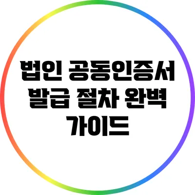법인 공동인증서 발급 절차 완벽 가이드