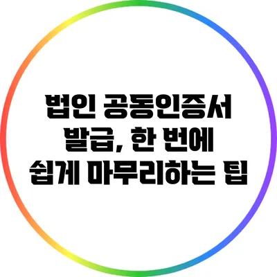 법인 공동인증서 발급, 한 번에 쉽게 마무리하는 팁