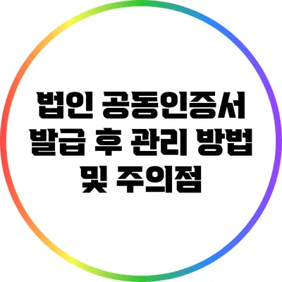 법인 공동인증서 발급 후 관리 방법 및 주의점