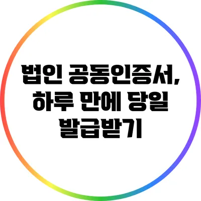 법인 공동인증서, 하루 만에 당일 발급받기