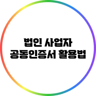 법인 사업자 공동인증서 활용법
