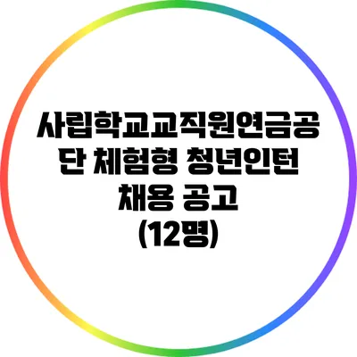 사립학교교직원연금공단 체험형 청년인턴 채용 공고 (12명)