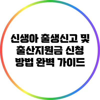 신생아 출생신고 및 출산지원금 신청 방법 완벽 가이드