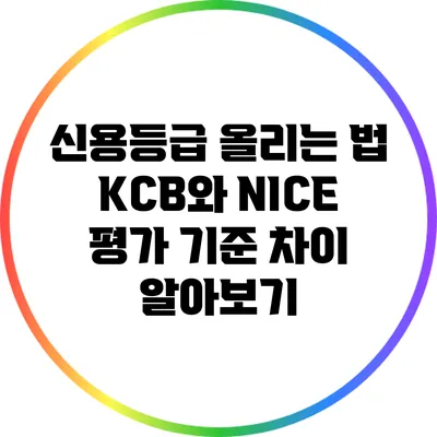 신용등급 올리는 법: KCB와 NICE 평가 기준 차이 알아보기