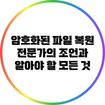 암호화된 파일 복원: 전문가의 조언과 알아야 할 모든 것