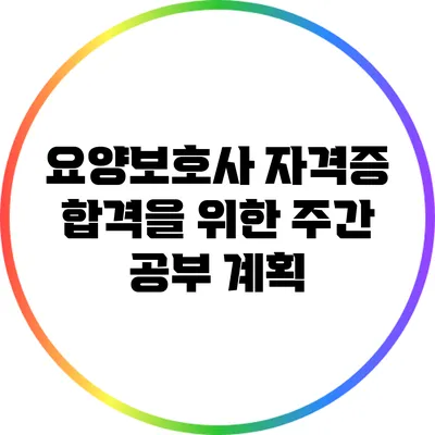 요양보호사 자격증 합격을 위한 주간 공부 계획