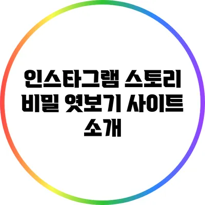 인스타그램 스토리 비밀 엿보기 사이트 소개