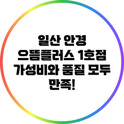 일산 안경 으뜸플러스 1호점: 가성비와 품질 모두 만족!