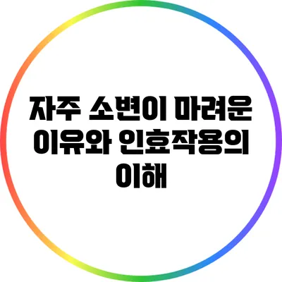 자주 소변이 마려운 이유와 인효작용의 이해