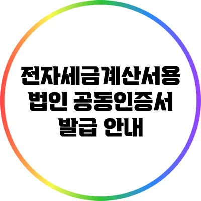 전자세금계산서용 법인 공동인증서 발급 안내