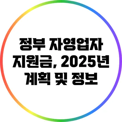 정부 자영업자 지원금, 2025년 계획 및 정보