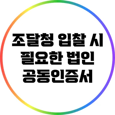 조달청 입찰 시 필요한 법인 공동인증서