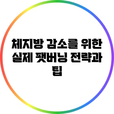 체지방 감소를 위한 실제 팻버닝 전략과 팁