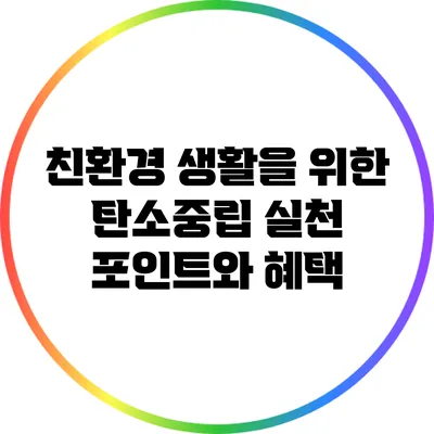 친환경 생활을 위한 탄소중립 실천 포인트와 혜택