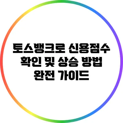 토스뱅크로 신용점수 확인 및 상승 방법 완전 가이드