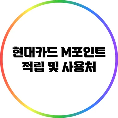 현대카드 M포인트 적립 및 사용처
