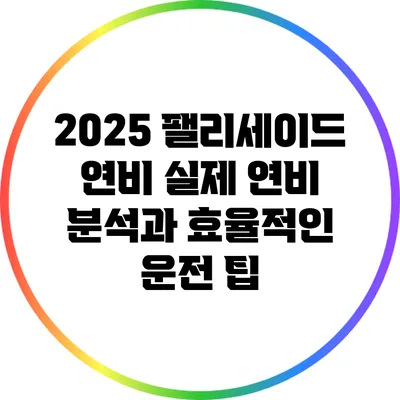 2025 팰리세이드 연비: 실제 연비 분석과 효율적인 운전 팁