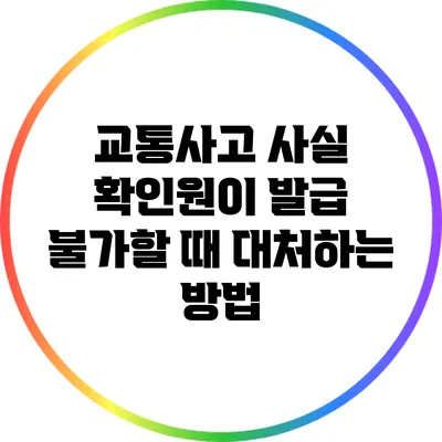 교통사고 사실 확인원이 발급 불가할 때 대처하는 방법