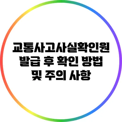 교통사고사실확인원 발급 후 확인 방법 및 주의 사항