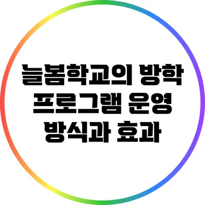 늘봄학교의 방학 프로그램 운영 방식과 효과
