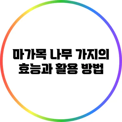 마가목 나무 가지의 효능과 활용 방법