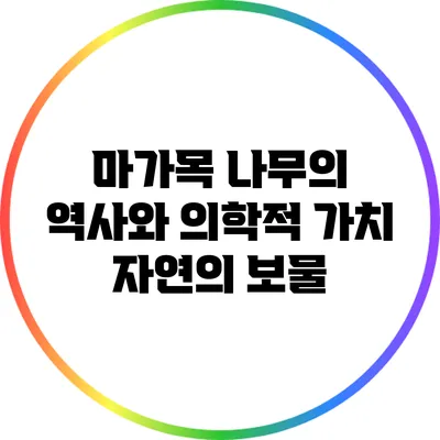 마가목 나무의 역사와 의학적 가치: 자연의 보물