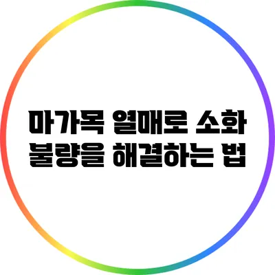 마가목 열매로 소화 불량을 해결하는 법