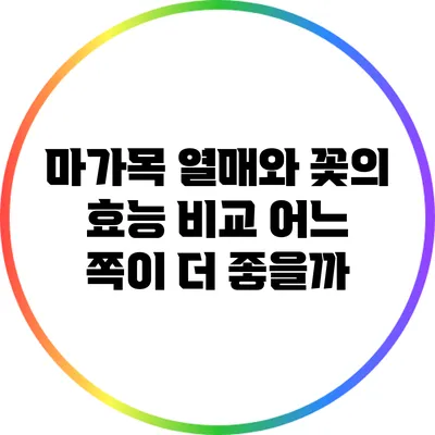 마가목 열매와 꽃의 효능 비교: 어느 쪽이 더 좋을까?