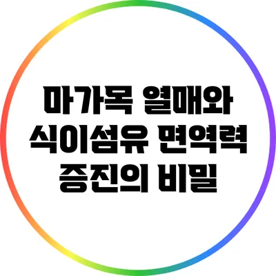 마가목 열매와 식이섬유: 면역력 증진의 비밀