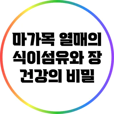 마가목 열매의 식이섬유와 장 건강의 비밀