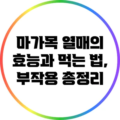 마가목 열매의 효능과 먹는 법, 부작용 총정리