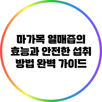 마가목 열매즙의 효능과 안전한 섭취 방법 완벽 가이드