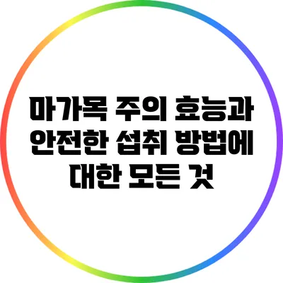 마가목 주의 효능과 안전한 섭취 방법에 대한 모든 것